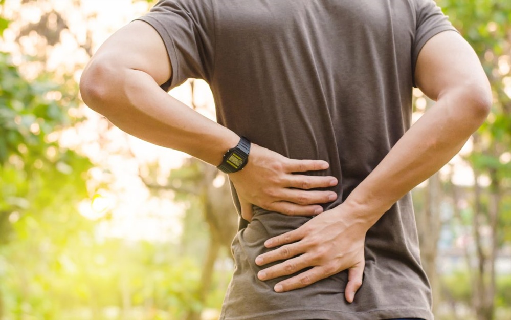 Uncovering the truth about back pain - We've got your back!